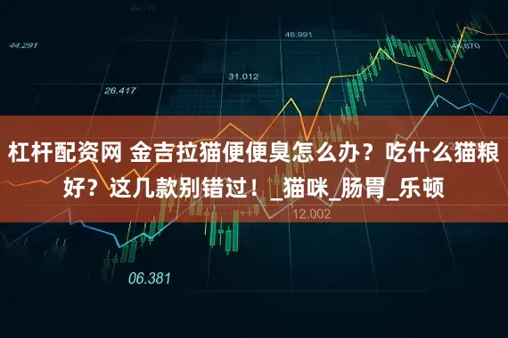 杠杆配资网 金吉拉猫便便臭怎么办？吃什么猫粮好？这几款别错过！_猫咪_肠胃_乐顿