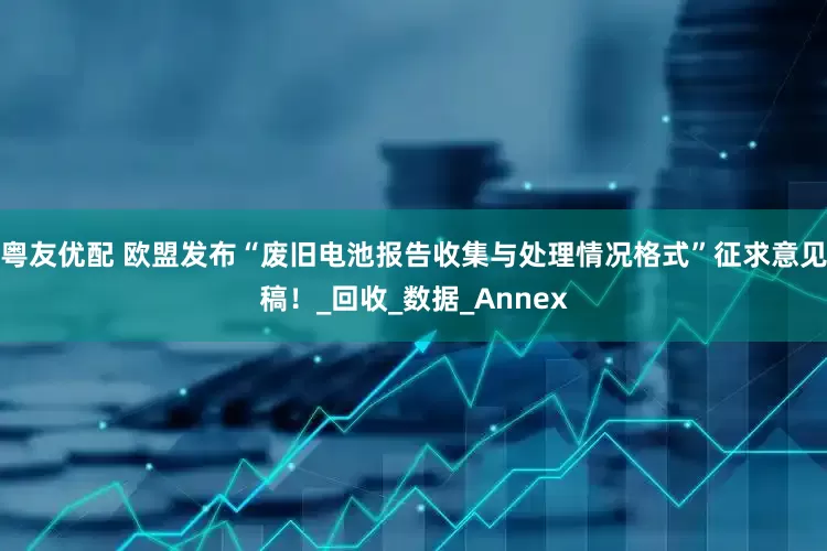粤友优配 欧盟发布“废旧电池报告收集与处理情况格式”征求意见稿！_回收_数据_Annex