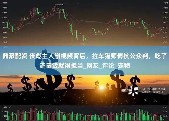 鼎豪配资 丧彪主人删视频背后，拉车猫师傅抗公众判，吃了流量饭就得担当_网友_评论_宠物