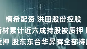 楠希配资 洪田股份控股股东科云新材累计近六成持股被质押 股东东台华昇晖全部持股被质押