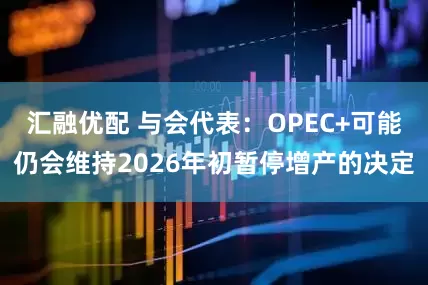 汇融优配 与会代表：OPEC+可能仍会维持2026年初暂停增产的决定